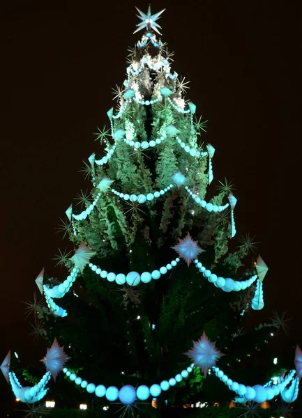 夜の緑のクリスマス Firtree の玩具 — ストック写真
