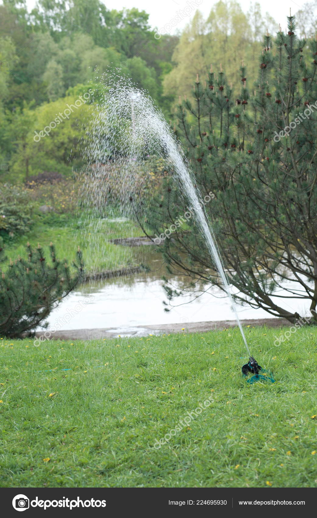 Sprinkler Japan Garten Frühjahr — Stockfoto © ru3apr ...
