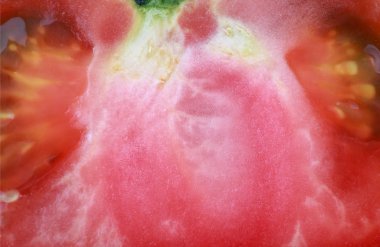 bir kırmızı domates ham foo