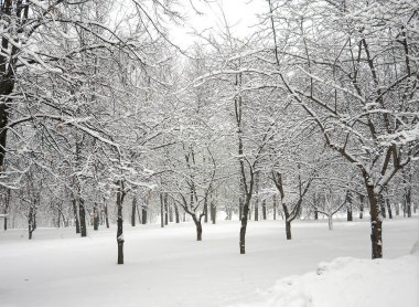 Şehir parkında kar yağdıktan sonra