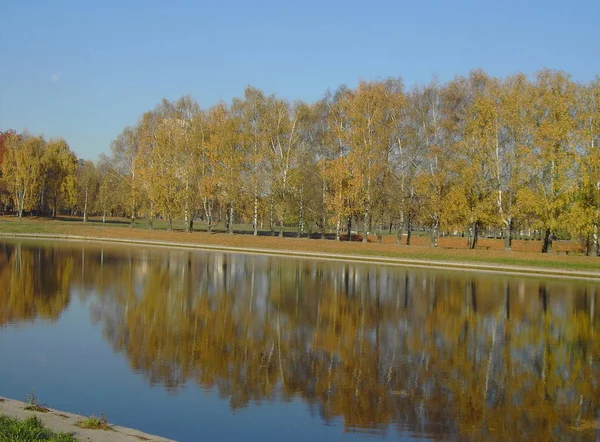 Park Miejski Złocie Jesień Październik Ranek — Zdjęcie stockowe