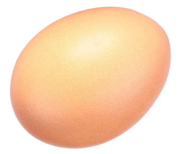 Hen Egg White Background — Stock Photo, Image