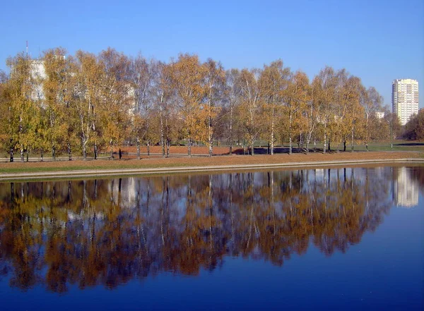 Міський Парк Золотому Осінньому Періоді Ранок — стокове фото