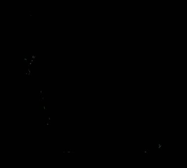 Siyah Renk Üzerine Bir Dijital Fraktal Resmi