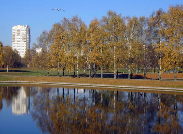 Městský Park Zlatém Podzimu Oktober Ráno — Stock fotografie