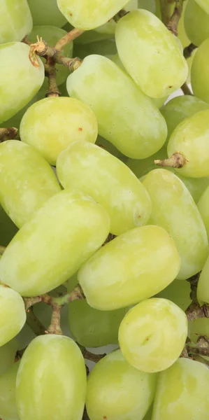 Groene Druiven Ten Dage — Stockfoto