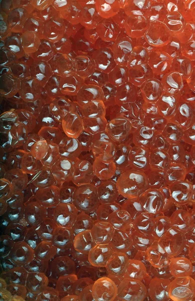 Caviar Rojo Día — Foto de Stock