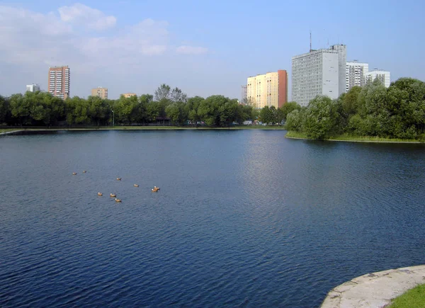 Sommar Stadsparken Augusti — Stockfoto