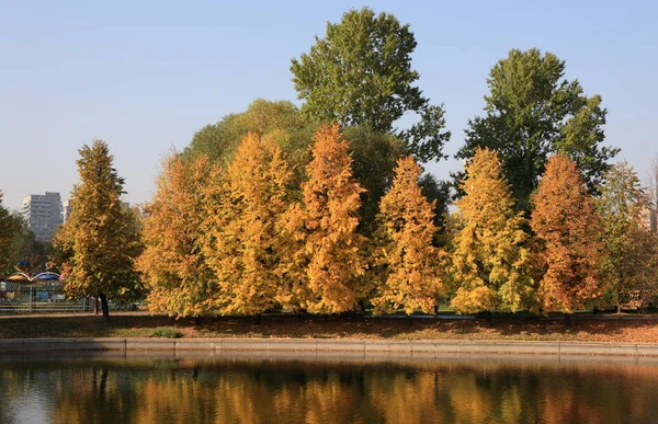 Parco Cittadino Oro Caduta — Foto Stock