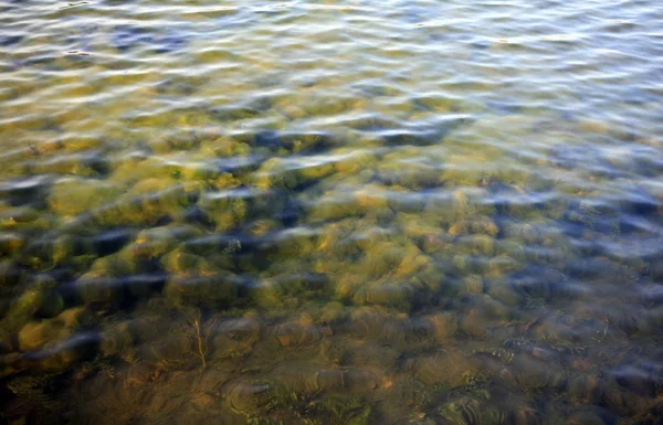 Ріплі Воді Вдень — стокове фото