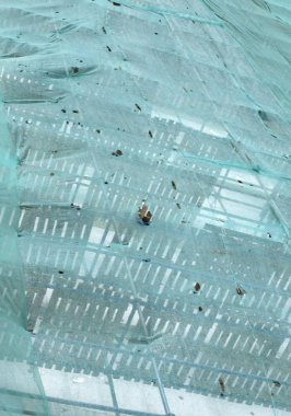 ev kurak günde gelişir.