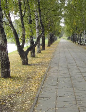 Sonbaharda şehir parkı Eylül 'de