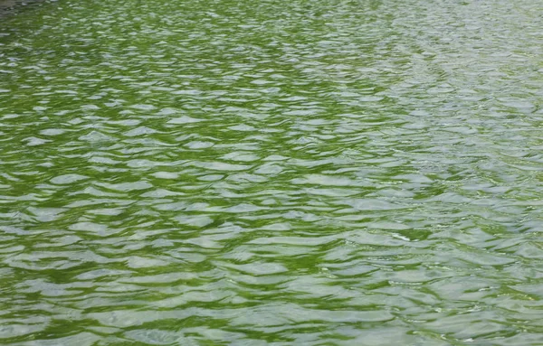 Ondulación Agua Día — Foto de Stock