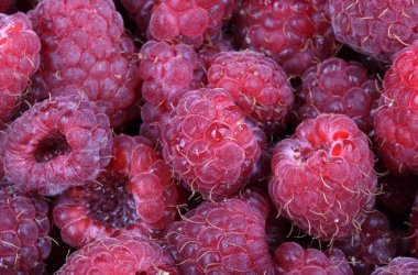 bir sürü ahududu var.