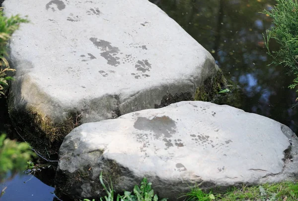 Giardino del Giappone di giorno — Foto Stock