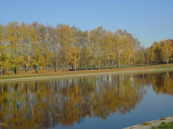 Park w upadku złota — Zdjęcie stockowe