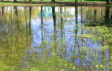 pequeño charco en el parque de la ciudad en primavera