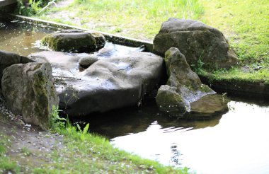 Japonya 'nın gündüz bahçesi