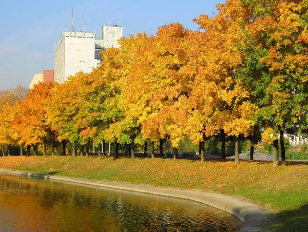 Jesień Parku Miejskim Październiku — Zdjęcie stockowe