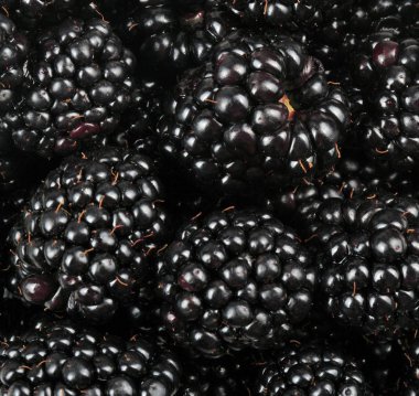 bir sürü BlackBerry