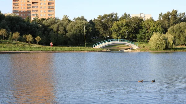 Été Dans Parc Ville — Photo