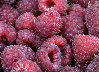 bir sürü ahududu var.