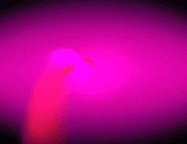 Dijital fraktal ile çok renkli bir çizimi