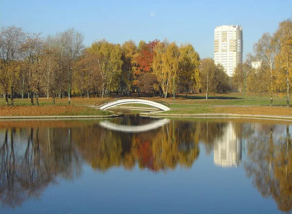 Parque Ciudad Caída Oro Octubre Mañana —  Fotos de Stock