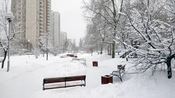 Městský Park Sněžení Dne — Stock fotografie