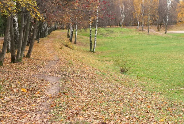 秋天的城市公园里 — 图库照片