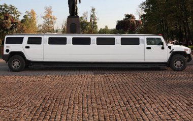 Düğün limuzini resmi tören için bekliyor.