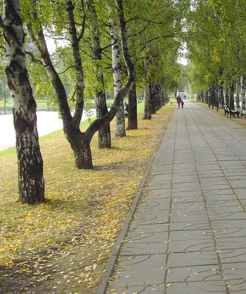 Stadspark Herfst Van September — Stockfoto