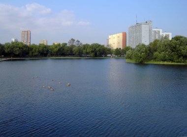 Ağustos 'ta şehir parkında yaz.