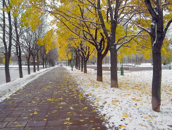 Early Melting Snow November City Park — Stock Photo, Image