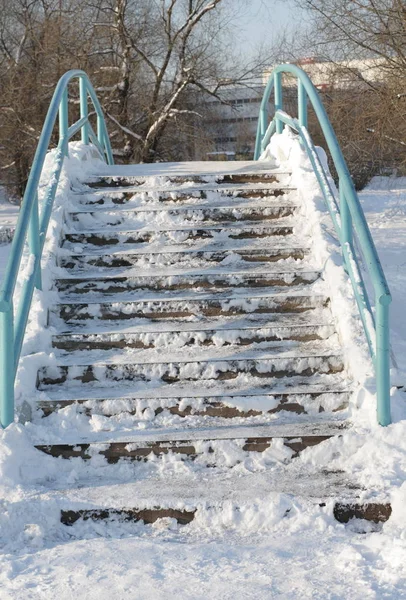 Ponte Sul Laghetto Inverno Nel Parco Cittadino — Foto Stock