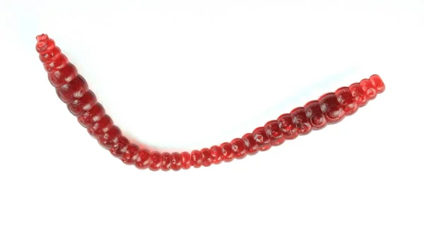 Brinquedo Earthworm Plástico Macio — Fotografia de Stock