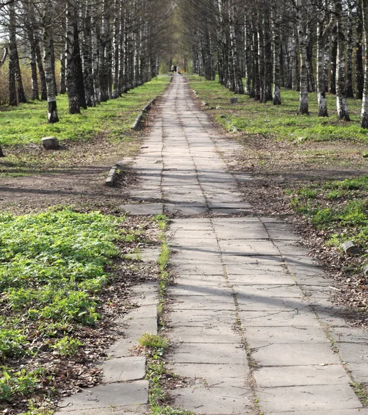 Printemps Dans Parc Ville Avril Jour — Photo