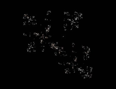 Dijital fraktal ile çok renkli bir çizimi