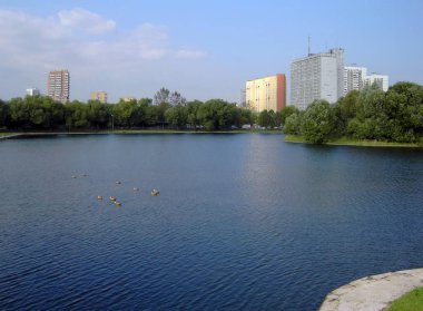 Ağustos 'ta şehir parkında yaz.