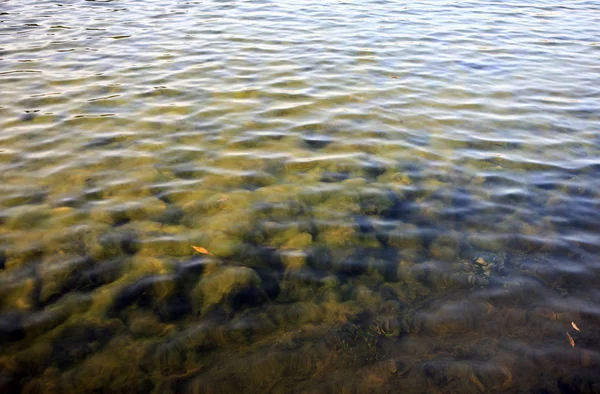 Днем Рябь Воде — стоковое фото