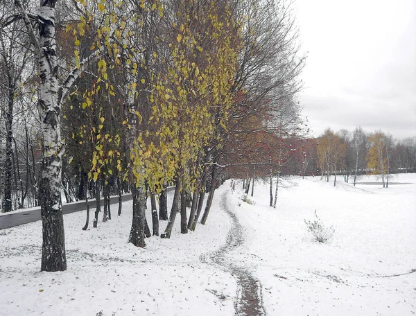 Derretendo Cedo Neve Novembro Parque Cidade — Fotografia de Stock