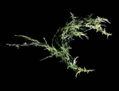 Dijital fraktal ile çok renkli bir çizimi