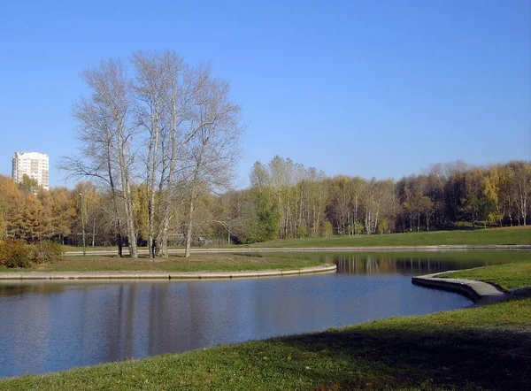 Park Miejski Złocie Jesień Październik Ranek — Zdjęcie stockowe