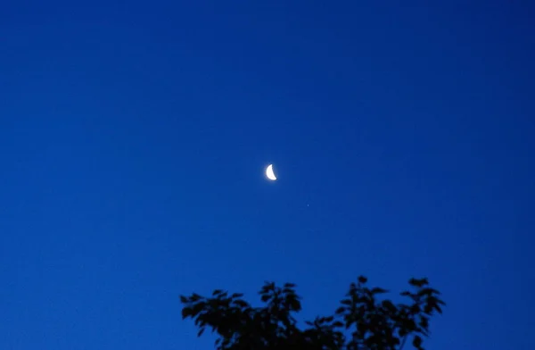 Faucille Lune Sur Ciel Nuit — Photo