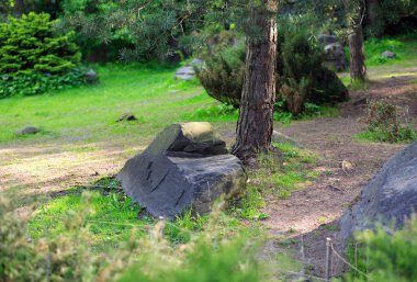 Japonya 'nın gündüz bahçesi