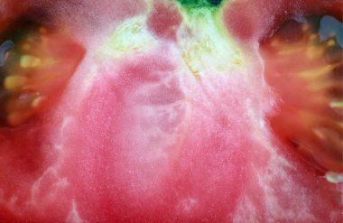 bir gün bir kırmızı domates