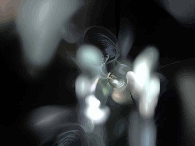 Siyah Renk Üzerine Bir Dijital Fraktal Resmi