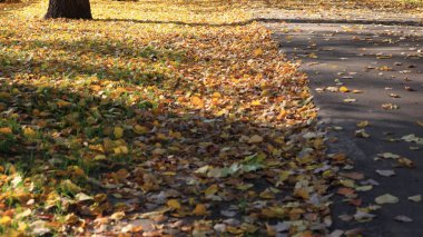 Sonbahar gününde yol