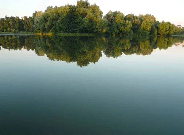 Sommer im Stadtpark — Stockfoto