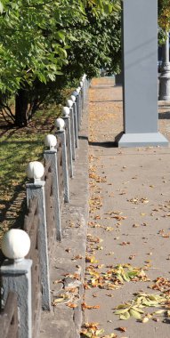 Sonbahar Kuru güneşli gün parkta